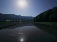 田んぼに映る田舎風景