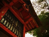 風雨に耐えた神社の一角