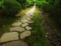 小路への探検