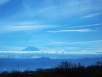 雲上の富士