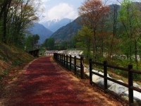 駒ケ岳のふもとにて