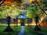 季節のエントランス