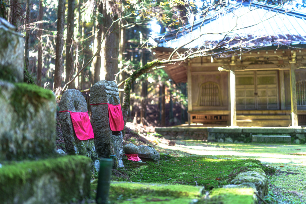 ゆるやかな時間と共に