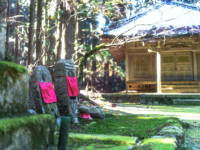 ゆるやかな時間と共に