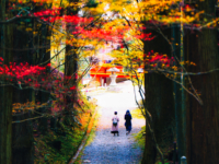 ゆるやかな秋の午後