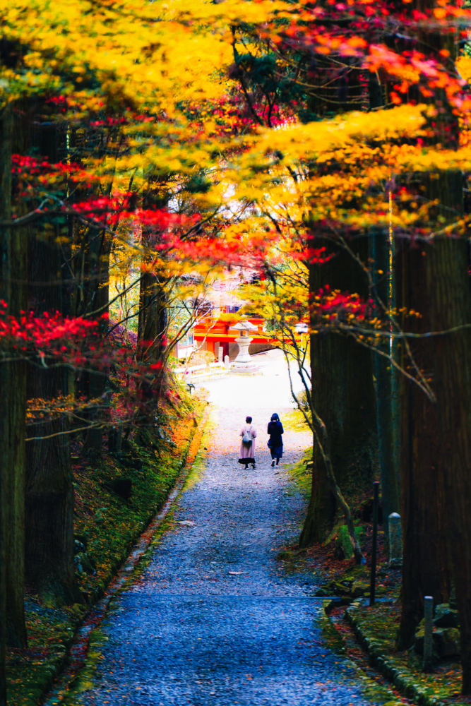 ゆるやかな秋の午後