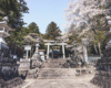鳥居に引き寄せられ